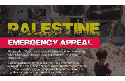 Emergency Appeal Gaza