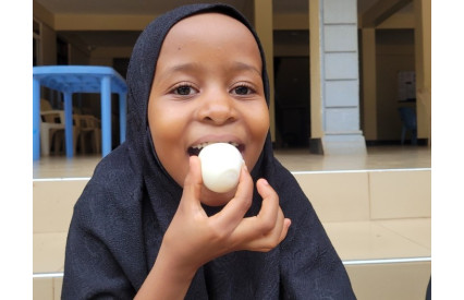 Gift a Flock of Chickens to Provide Eggs for Orphans